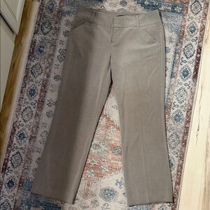 Express Straight Leg Pants in Light Taupe